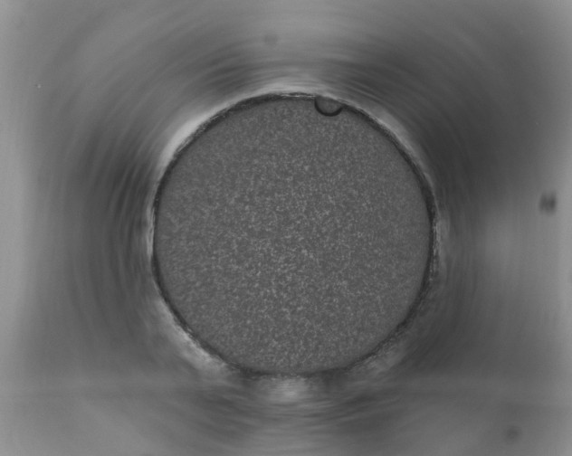 X0000110960791200907022220