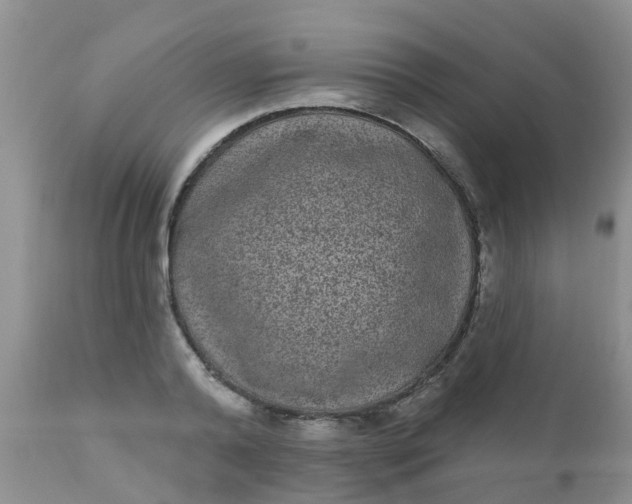 X0000110960792200907022220