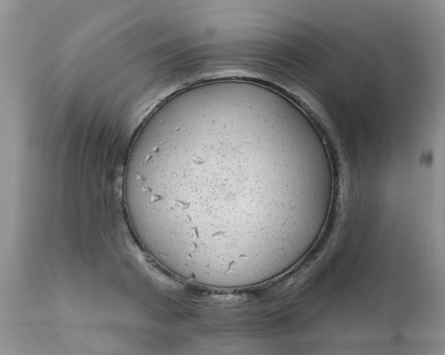 X0000110960793200907022220