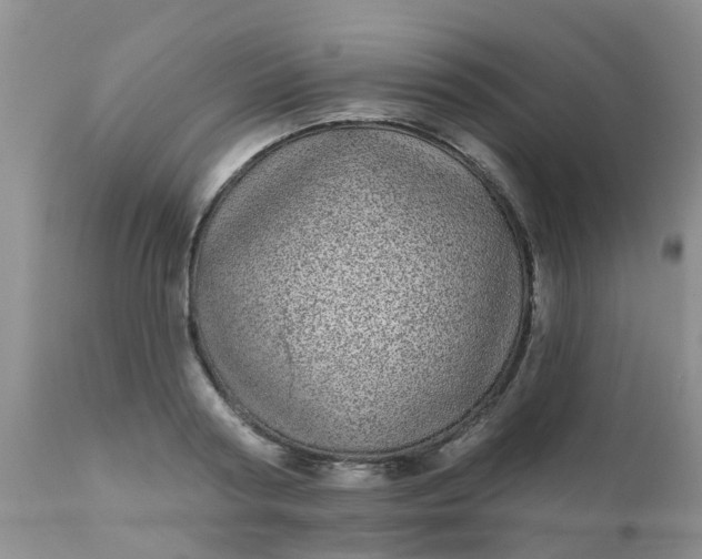 X0000110960794200907022220