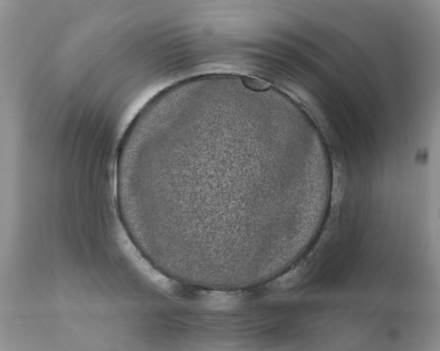 X0000110960796200907022220