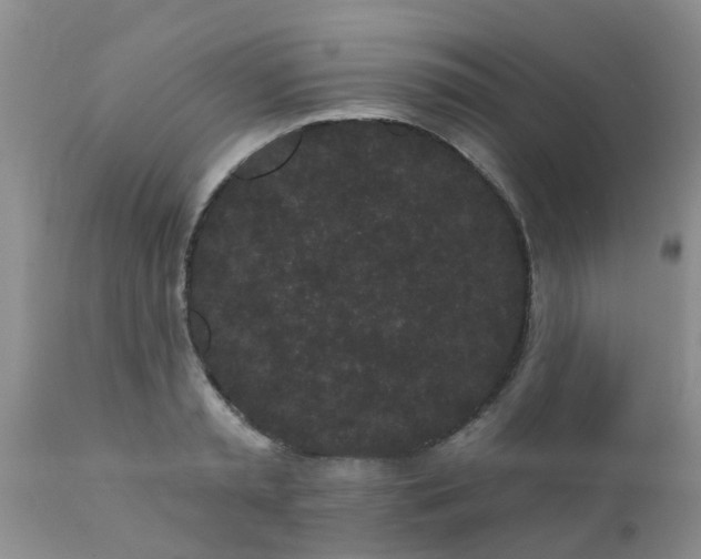 X0000110960797200907022220