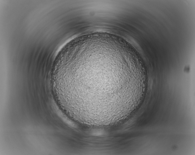 X0000110960798200907022220