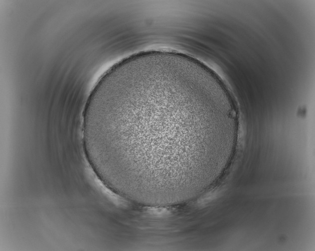 X0000110960799200907022220