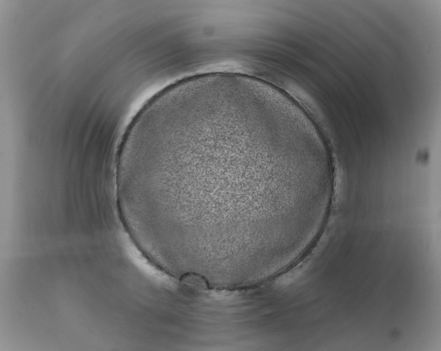 X0000110960800200907022220