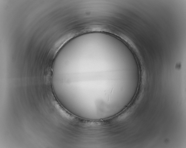 X0000110960801200907022219