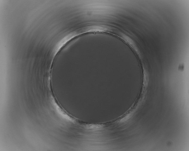 X0000110960802200907022219