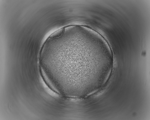 X0000110960803200907022219