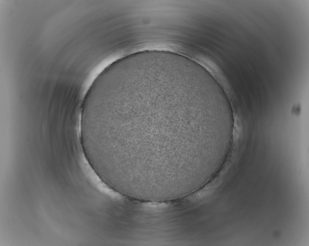 X0000110960804200907022219