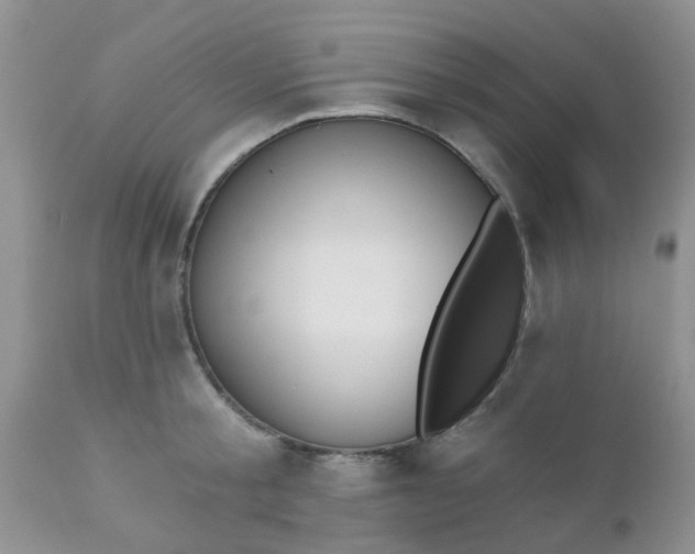 X0000110960805200907022219