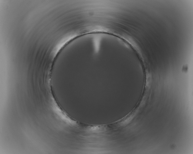 X0000110960806200907022219