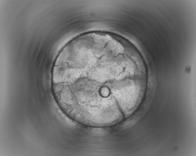 X0000110960807200907022219