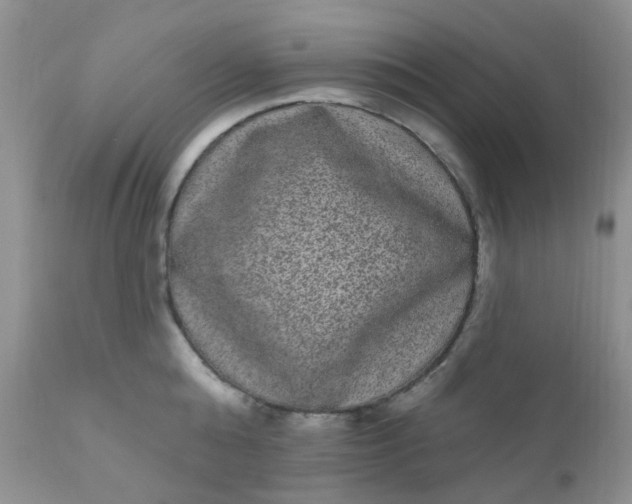 X0000110960808200907022219