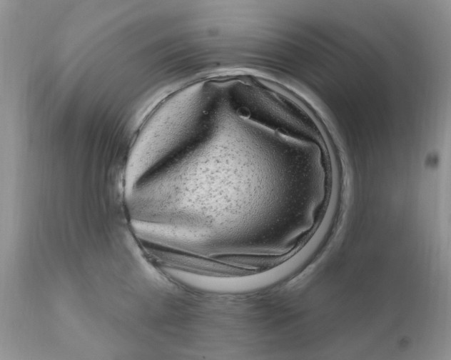 X0000110960809200907022219