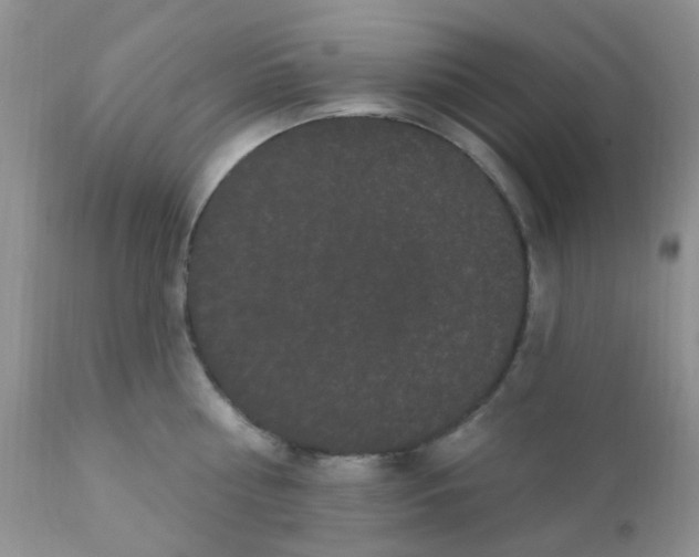 X0000110960810200907022219