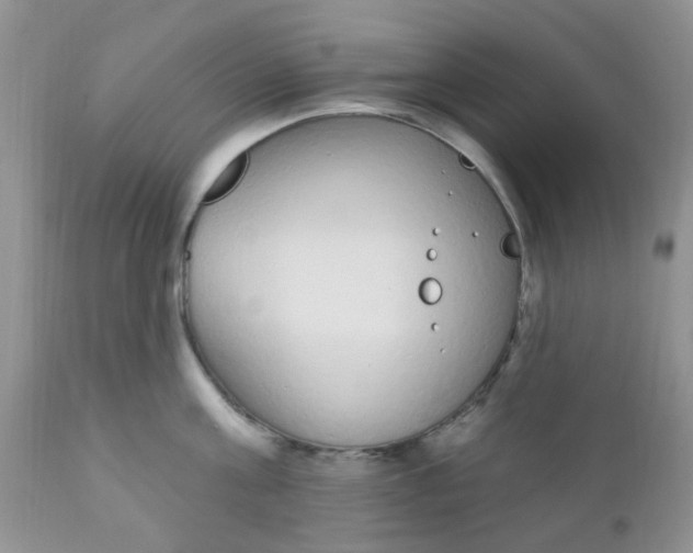 X0000110960811200907022219