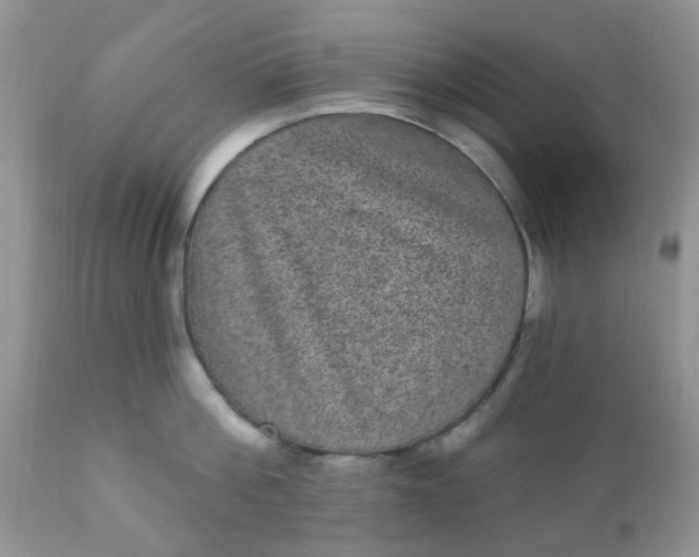 X0000110960812200907022219