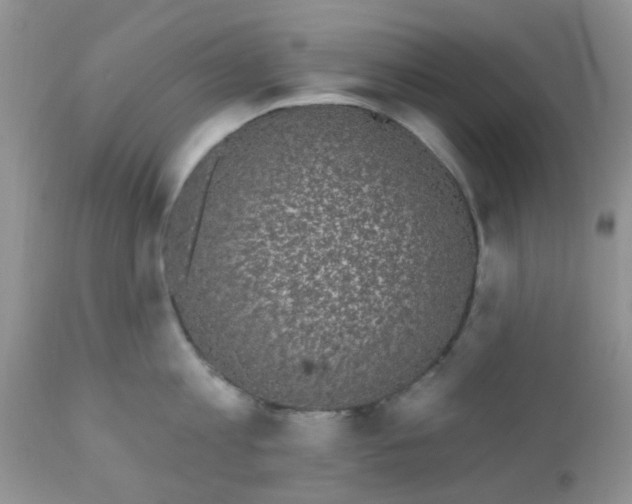 X0000110960813200907022219