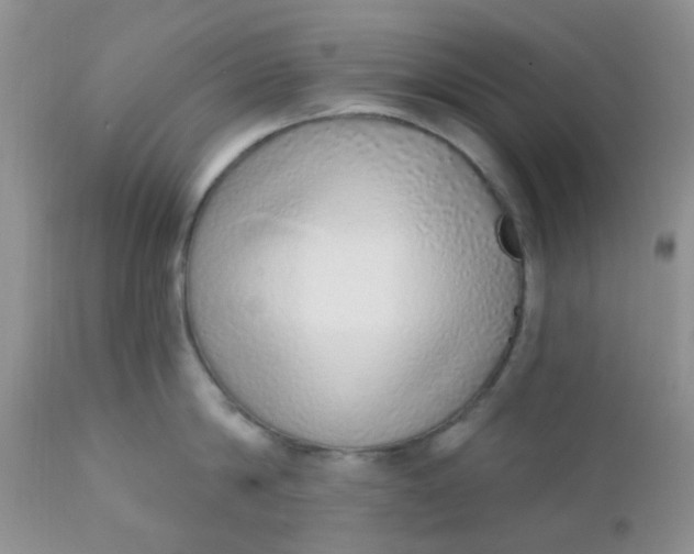 X0000110960814200907022219