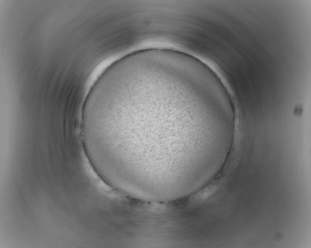 X0000110960815200907022219