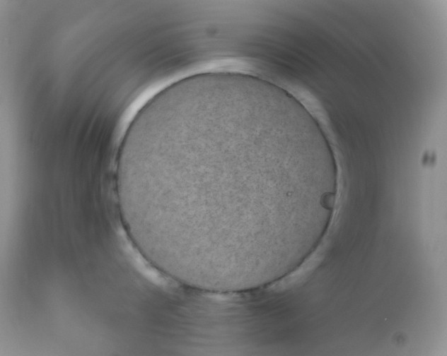 X0000110960816200907022219