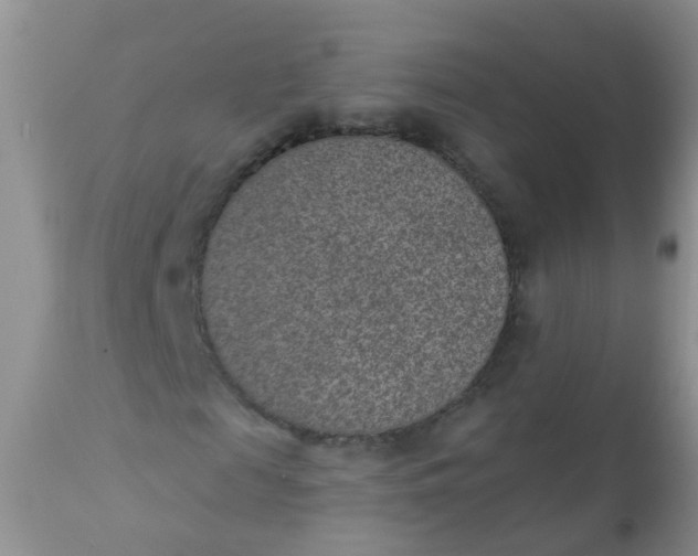 X0000110960817200907022219