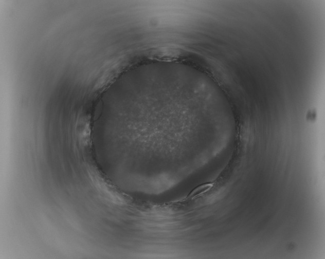 X0000110960818200907022219