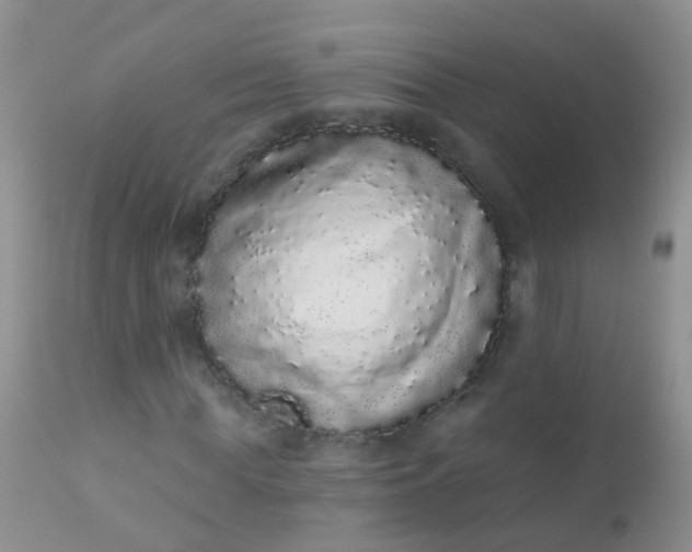 X0000110960819200907022219