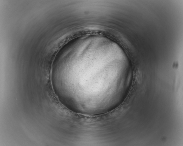 X0000110960821200907022219