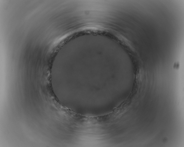 X0000110960822200907022219