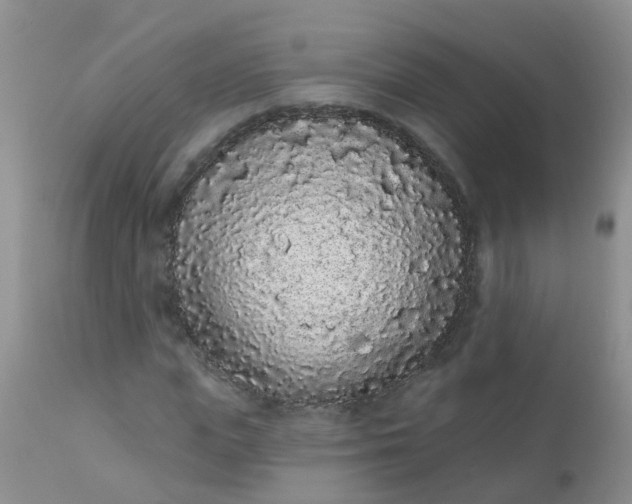 X0000110960823200907022219