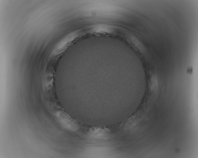 X0000110960824200907022219