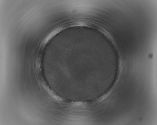 X0000110960826200907022219