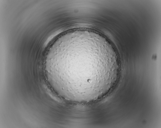 X0000110960827200907022219