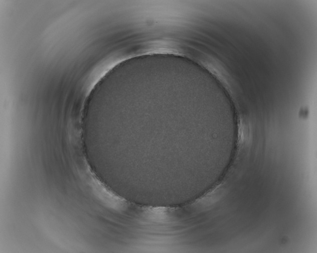 X0000110960828200907022219