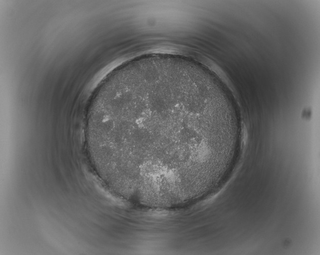 X0000110960829200907022219