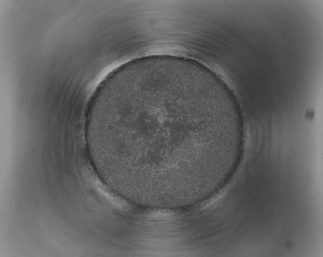 X0000110960830200907022219