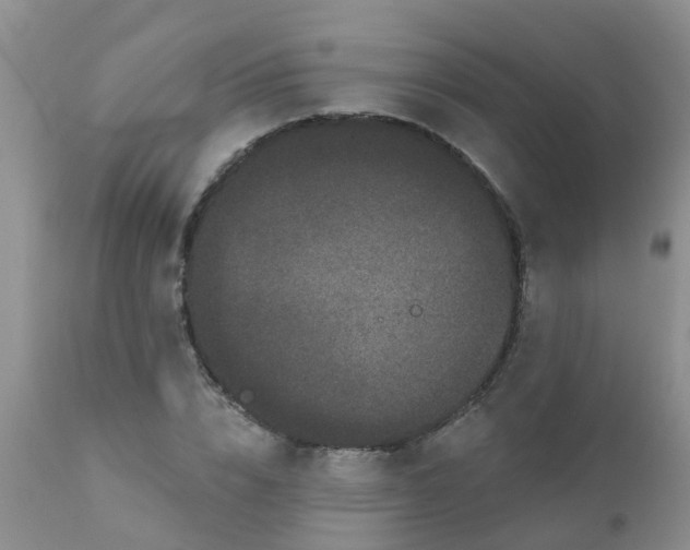 X0000110960832200907022219