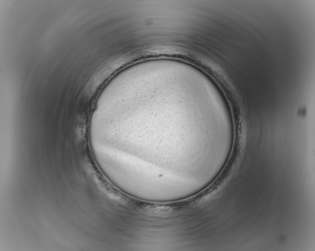 X0000110960833200907022219