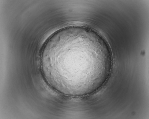 X0000110960835200907022219