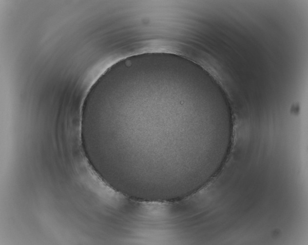 X0000110960836200907022219