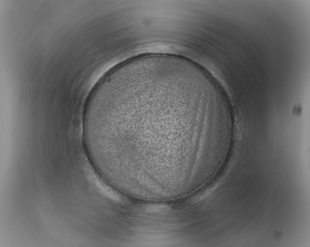 X0000110960837200907022219