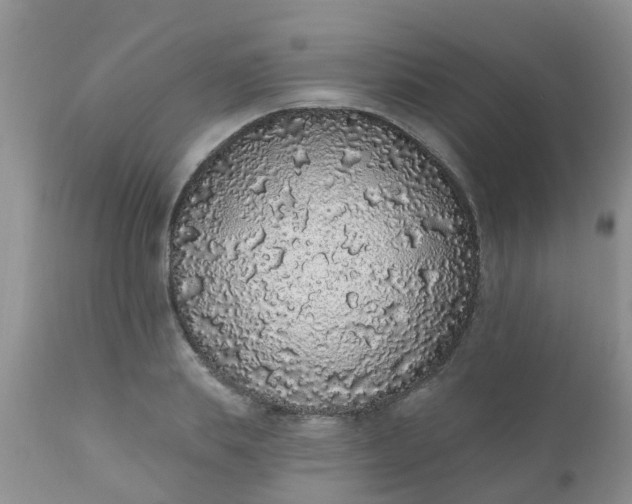 X0000110960839200907022219