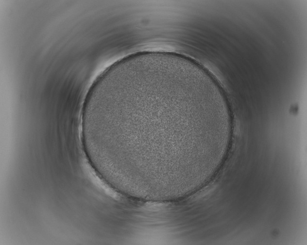 X0000110960840200907022219