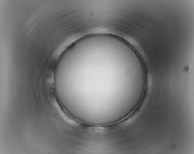 X0000110960841200907022219