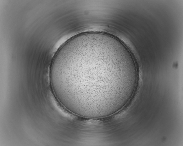 X0000110960842200907022219