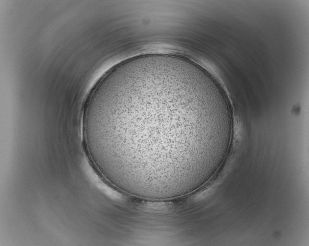 X0000110960843200907022219