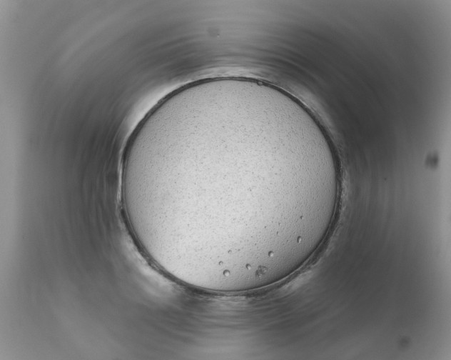 X0000110960844200907022219