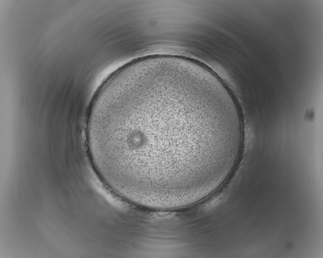 X0000110960846200907022219