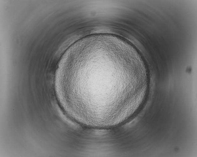 X0000110960849200907022219